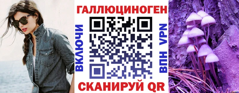 купить закладку  Судак  блэк спрут ссылка  Галлюциногенные грибы ЛСД 